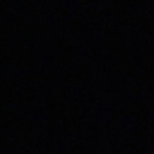 Meet your Posher, Katy